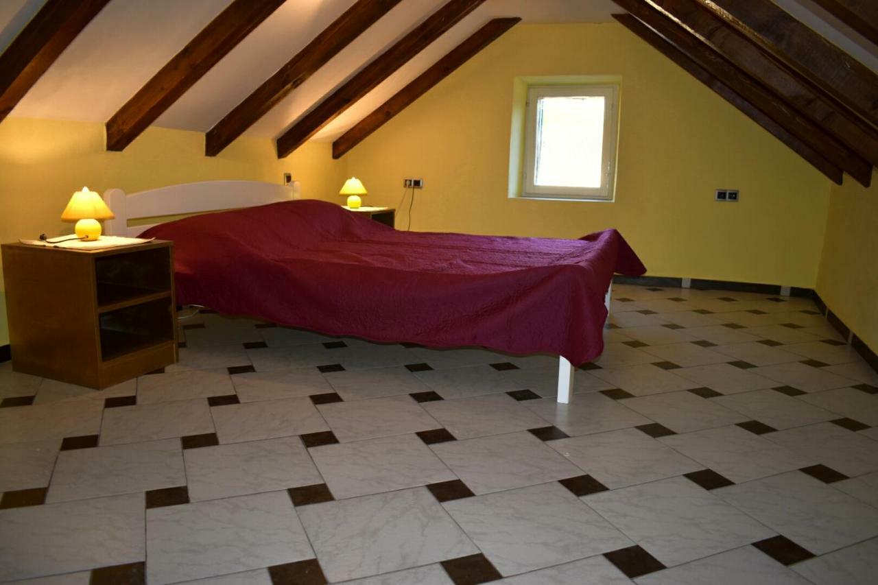 Apartments Carpe Diem Novigrad  Bagian luar foto