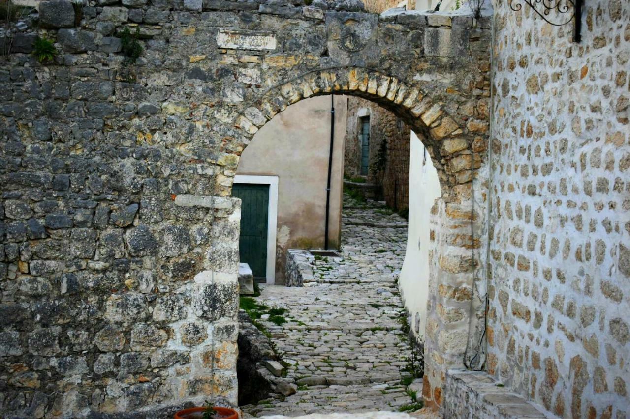 Apartments Carpe Diem Novigrad  Bagian luar foto