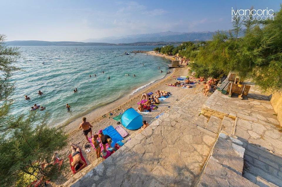 Apartments Carpe Diem Novigrad  Bagian luar foto