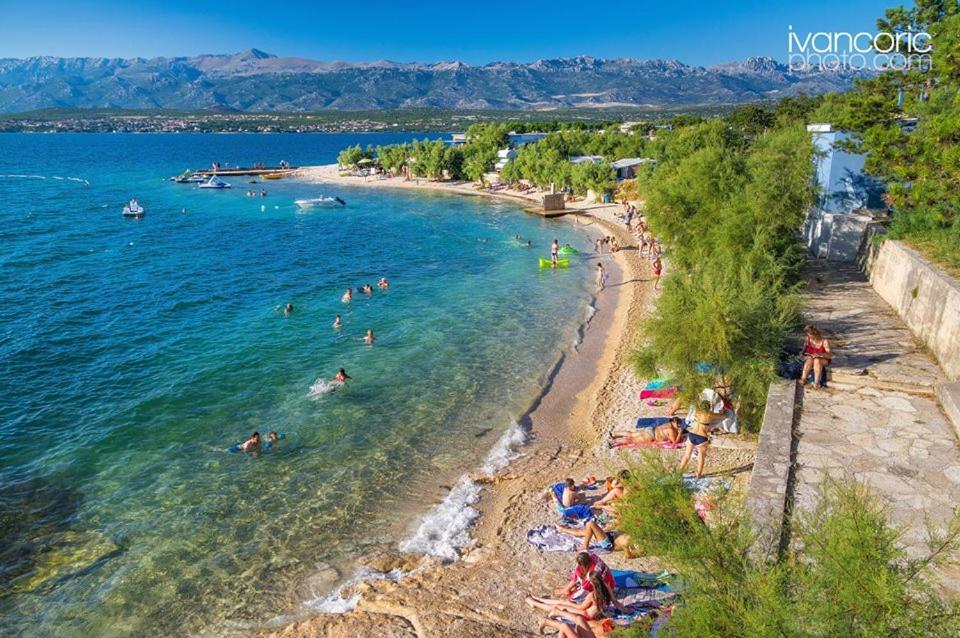 Apartments Carpe Diem Novigrad  Bagian luar foto